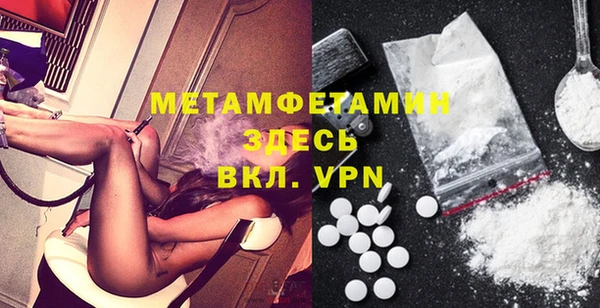 шишки Белокуриха