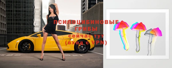 тгк Беломорск