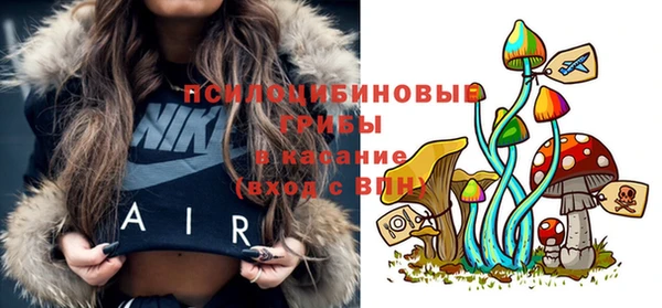 мет Богданович