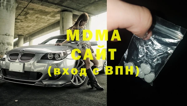 шишки Белокуриха