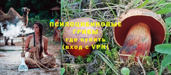 шишки Белокуриха