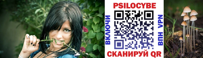 цены наркотик  Бородино  это официальный сайт  Псилоцибиновые грибы GOLDEN TEACHER 